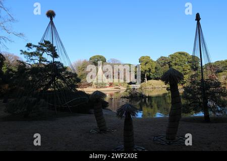 Daisensui Pond e Yukitsuri (impiccagione di neve) nel Rikugien Garden, Tokyo, Giappone Foto Stock