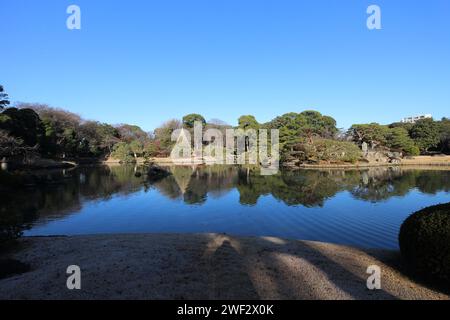 Daisensui Pond e Yukitsuri (impiccagione di neve) nel Rikugien Garden, Tokyo, Giappone Foto Stock