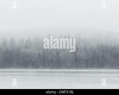 La scena tranquilla cattura un lago sereno avvolto dalla nebbia con una fitta foresta che emerge sullo sfondo. Foto Stock