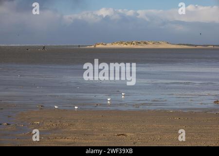 Lakolk Strand, Danimarca Foto Stock