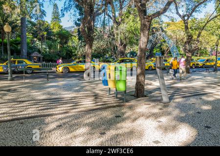 La zona pedonale della città di Funchal, Madeira. Foto Stock