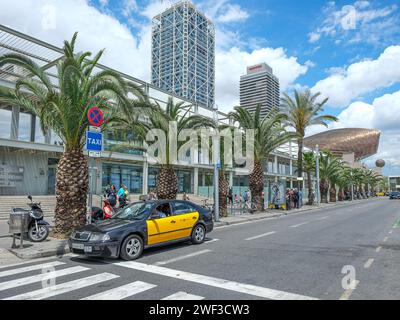 La Barceloneta, il famoso quartiere balneare di Barcellona. La Barceloneta si trova nel quartiere Ciutat Vella ed è molto popolare tra i turisti. Foto Stock