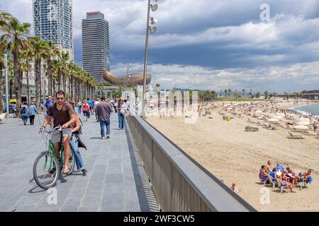 La Barceloneta, il famoso quartiere balneare di Barcellona. La Barceloneta si trova nel quartiere Ciutat Vella ed è molto popolare tra i turisti. Foto Stock