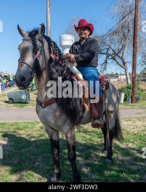 Cowboy siede in sella a un cavallo con criniera intrecciata, in attesa dell'inizio della 92a Parata annuale Texas Citrus Fiesta of Oranges, Mission, Texas, USA. Foto Stock