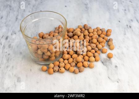 Palline di argilla fatte a mano in un vaso trasparente per l'agricoltura idroponica Foto Stock