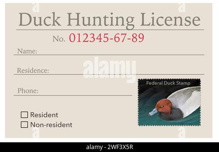Una licenza di caccia fittizia o generica è mostrata qui in un'illustrazione. Foto Stock