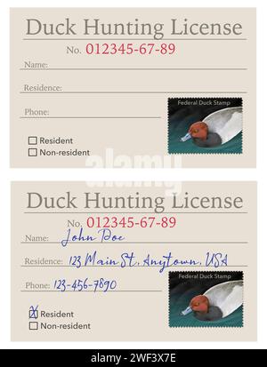 Una licenza di caccia fittizia o generica è mostrata qui in un'illustrazione. Ci sono due licenze, una è vuota e l'altra è compilata con i fittizi Foto Stock