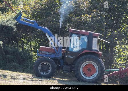 Falciare i prati di fiori selvatici in autunno a Hawthorn Hive, contea di Durham. Un trattore fabbricato da Case con forche anteriori lavora lungo la pendenza. Foto Stock