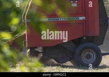 Falciare i prati di fiori selvatici in autunno a Hawthorn Hive, contea di Durham. Un bailer prodotto da Massey Ferguson. Foto Stock