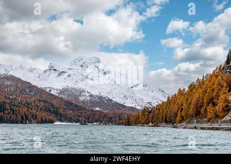 Lago di Silsersee in autunno con il Piz da la Margna innevato al passo Maloja, Svizzera Foto Stock