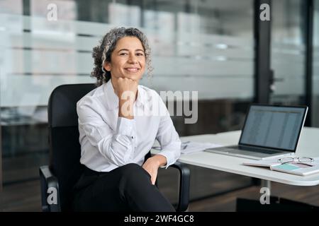 Sorridente, anziana e matura, leader aziendale seduto in ufficio, ritratto. Foto Stock