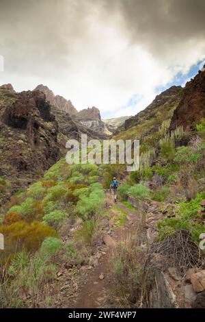 Terreno impegnativo nella valle che conduce alla Playa de Barranco secco vicino a Los Gigantes, Tenerife Foto Stock