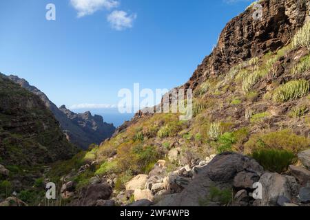 Terreno impegnativo nella valle che conduce alla Playa de Barranco secco vicino a Los Gigantes, Tenerife Foto Stock