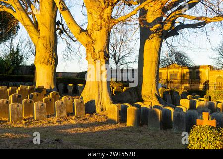 Krieger-Denkmal, io Weltkrieg auf dem evangelischen Friedhof in Großröhrsdorf 236 Stelen für Gefallene und Vermisste des ersten Weltkrieges, diese in verschiedene Abteilungen gegliedert und entsprechend dem Dienstgrad mit unterschiedlicher Gestaltung schlichte Stelen mit Rundbogenabschluss aufwändigere ursprünglich, zwei Eichen und weitere Gehölzanpflanzungen, im Mittelpunkt der Anlage über einem dreistufigen Unterbau in der Art einer PietÃ eine Krankenpflegerin und ein sterbender Soldat in S. Foto Stock