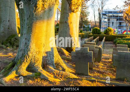 Krieger-Denkmal, io Weltkrieg auf dem evangelischen Friedhof in Großröhrsdorf 236 Stelen für Gefallene und Vermisste des ersten Weltkrieges, diese in verschiedene Abteilungen gegliedert und entsprechend dem Dienstgrad mit unterschiedlicher Gestaltung schlichte Stelen mit Rundbogenabschluss aufwändigere ursprünglich, zwei Eichen und weitere Gehölzanpflanzungen, im Mittelpunkt der Anlage über einem dreistufigen Unterbau in der Art einer PietÃ eine Krankenpflegerin und ein sterbender Soldat in S. Foto Stock