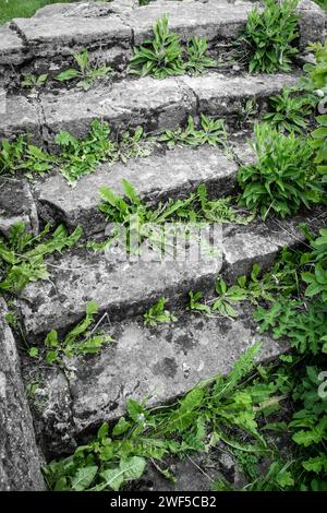 Una serie di vecchi gradini di pietra con erbacce che crescono attraverso le crepe. Fotografato vicino a Flass vale, County Durham, Inghilterra nord-orientale Foto Stock