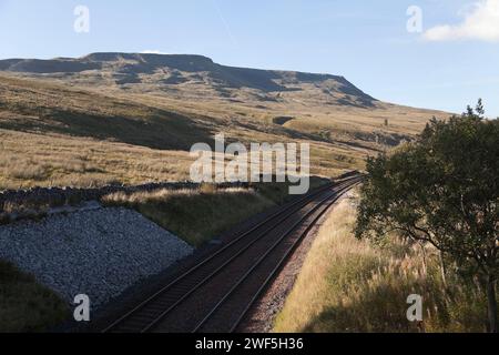 Settle-Carlisle ferroviarie e Cinghiale cadde, Cumbria, Regno Unito Foto Stock