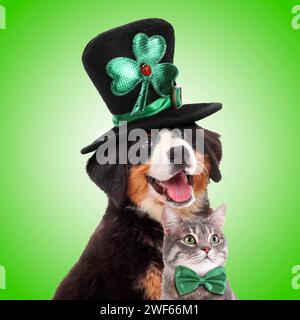 St Festa del giorno di Patrick. Simpatico cane con cappello in leprechaun e gatto con papillon su sfondo verde Foto Stock