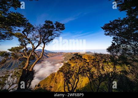 Incredibile vulcano del Monte Bromo durante il cielo soleggiato dal punto panoramico di King kong sulla montagna Penanjakan nel Parco Nazionale Bromo Tengger Semeru, Giava Est, Indonesia Foto Stock