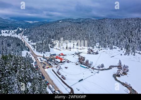 Vista aerea di Livadia Pertouliou ("prati di Pertouli"), comune di Pyli, Trikala, Tessaglia, Grecia. Foto Stock