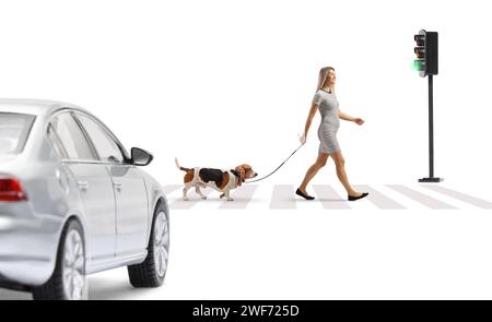 Un'auto che ti aspetta e una donna che cammina con un cane ad un passaggio pedonale isolato su sfondo bianco Foto Stock