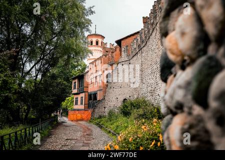 Un tranquillo sentiero che conduce all'incantevole Borgo medievale, immerso nel verde lussureggiante del Parco del Valentino a Torino, Italia. Foto Stock