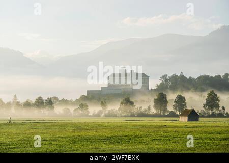 Schloss Trautenfels, Stainach Irdning, Ennstal, Steiermark, Österreich *** Castel Trautenfels, Stainach Irdning, Ennstal, Stiria, Austria Foto Stock