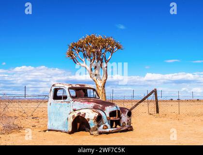 Namibia Old Truck Quiver Tree Desert Foto Stock