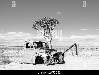 Namibia Old Truck Quiver Tree Desert Foto Stock