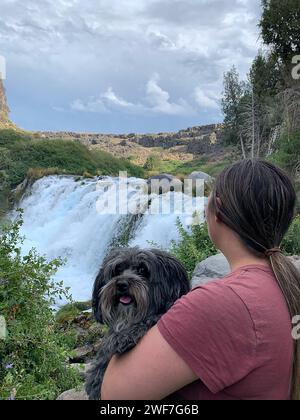 Cascate con vista su cani e escursionisti nel Box Canyon Foto Stock