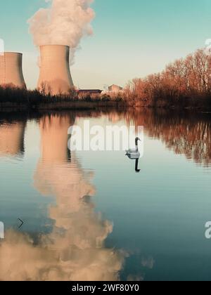 Ingannevole paesaggio marino idilliaco con un cigno davanti alla centrale nucleare nei comuni francesi di Cruas e Meysse Foto Stock