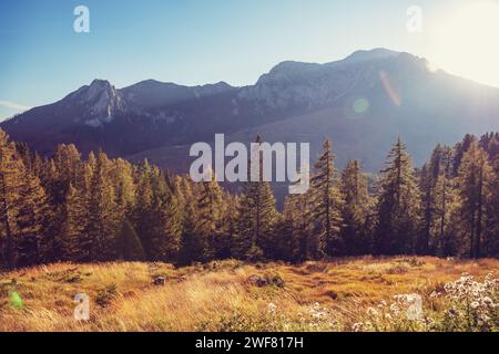 Paesaggio montano in una giornata di sole. Vista dall'alta strada alpina di Grossglockner. Austria, Europa Foto Stock
