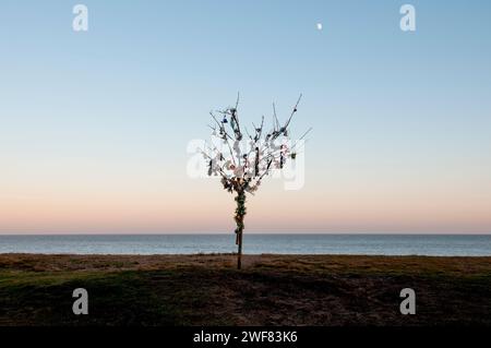 Un albero solitario sorge sulla costa, decorato con tradizionali decorazioni natalizie. Foto Stock