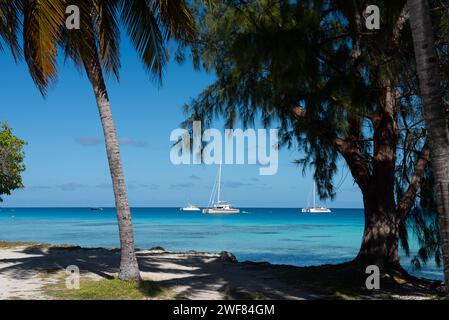 Due yacht sulla laguna di Fakarava Foto Stock