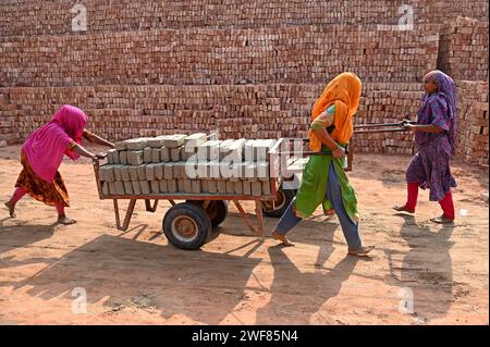 Dhaka, Dhaka, Bangladesh. 27 gennaio 2024. 28 gennaio 2024-Dacca, Bangladesh - Ritratto di un lavoro in muratura. Il mondo sta attraversando una rapida urbanizzazione e il Bangladesh non fa eccezione. Una tale rapida urbanizzazione genera una domanda massiccia di mattoni in quanto è uno degli ingredienti chiave per costruire strutture in cemento. Per rispondere a questa crescente esigenza, il numero di giacimenti di mattoni è aumentato a un ritmo allarmante in Bangladesh. La maggior parte di essi si svolgeva in terreni agricoli che causavano una riduzione della produzione agricola. Sappiamo che la combustione del carbone causa enormi emissioni di carbone Foto Stock