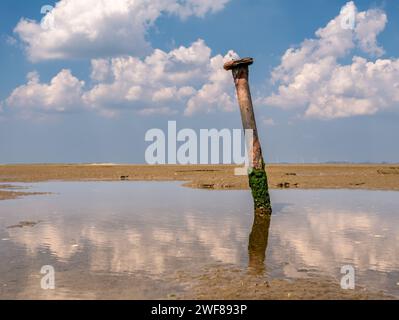 Palo di ferro arrugginito in pozzanghera su pianura fangosa durante la bassa marea vicino alla riserva naturale Kwade Hoek, all'ingresso di Slijkgat, Zuid-Holland, Paesi Bassi Foto Stock