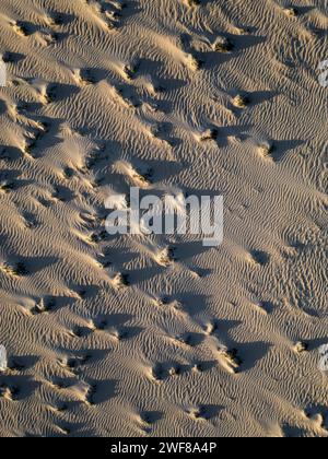 Vista dall'alto che cattura i motivi testurizzati delle dune di Corralejo nella luce soffusa di Fuerteventura Foto Stock