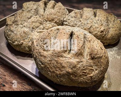 Quattro panini di pane appena sfornato, USA Foto Stock