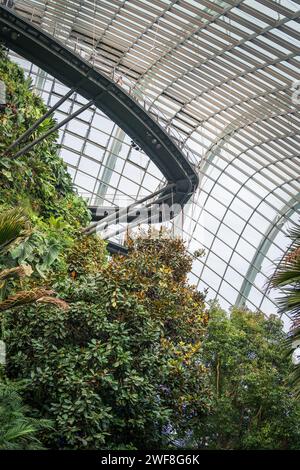 Passerella circondata da una lussureggiante vegetazione al Gardens by the Bay, Singapore Foto Stock