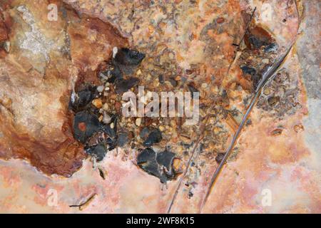 terreno di una ex cava Foto Stock