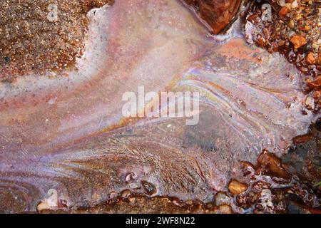 terreno di una ex cava Foto Stock