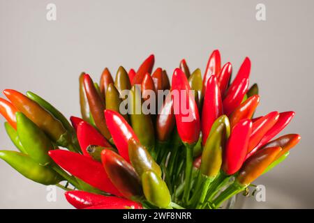 mazzo di peperoncino piccolo su sfondo bianco Foto Stock