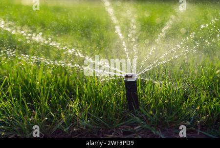 Sistema sprinkler automatico che innaffia il prato. Irrigazione del prato nel parco pubblico. Foto Stock