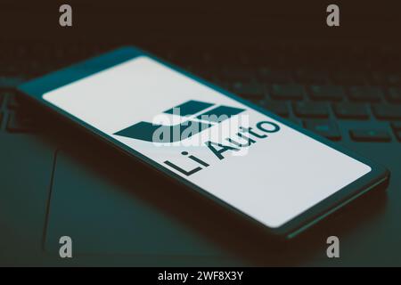 Brasile. 29 gennaio 2024. In questa immagine, il logo li Auto viene visualizzato sullo schermo dello smartphone. Credito: SOPA Images Limited/Alamy Live News Foto Stock