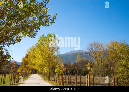 Sentiero in autunno e picco Peñalara. Parco nazionale della Sierra de Guadarrama, provincia di Madrid, Spagna. Foto Stock