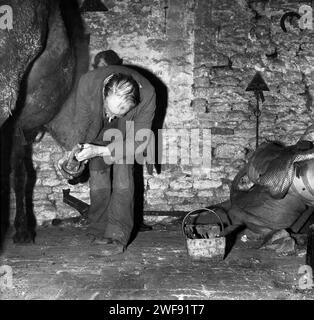 Anni '1970, storico, un vecchio fabbro o contadino, sigaretta in bocca, al lavoro in una stalla, a cavallo, Inghilterra, Regno Unito. Foto Stock