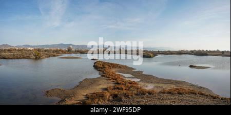 Lagune naturali del Parco naturale della riserva naturale dell'estuario del Guadalhorce. Andalusia, Malaga, Spagna. Foto Stock