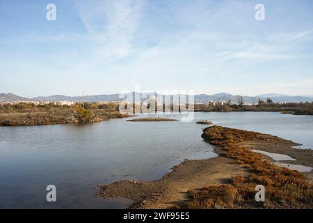 Lagune naturali del Parco naturale della riserva naturale dell'estuario del Guadalhorce. Andalusia, Malaga, Spagna. Foto Stock