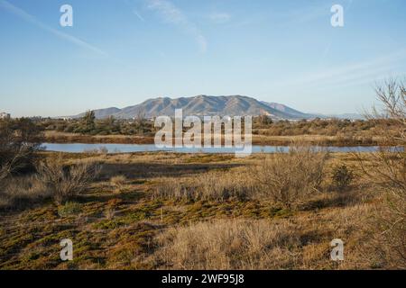 Lagune naturali del Parco naturale della riserva naturale dell'estuario del Guadalhorce. Andalusia, Malaga, Spagna. Foto Stock