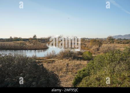 Lagune naturali del Parco naturale della riserva naturale dell'estuario del Guadalhorce. Andalusia, Malaga, Spagna. Foto Stock